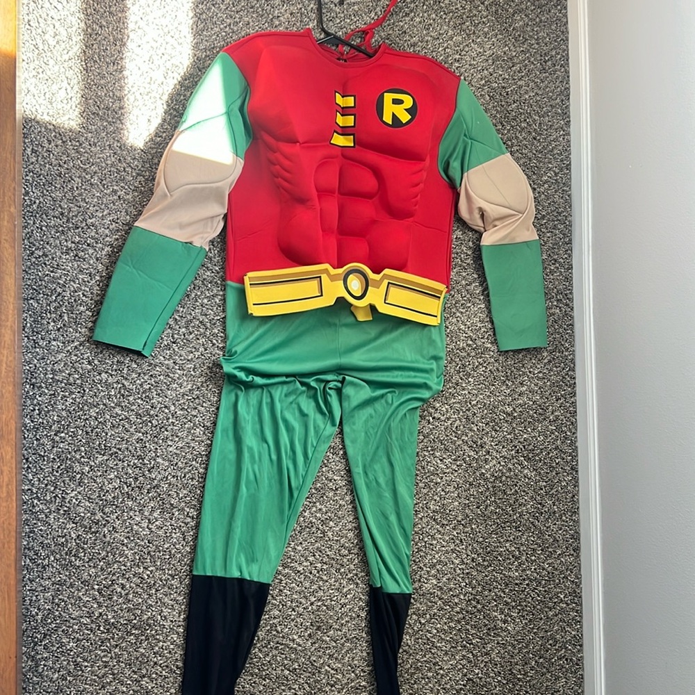 Robin Costume
